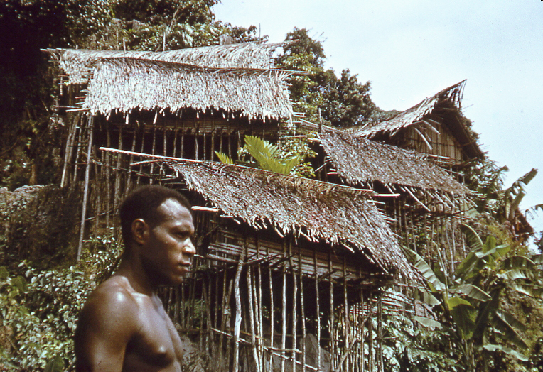 Imonda-on-the-Rocks, 1963