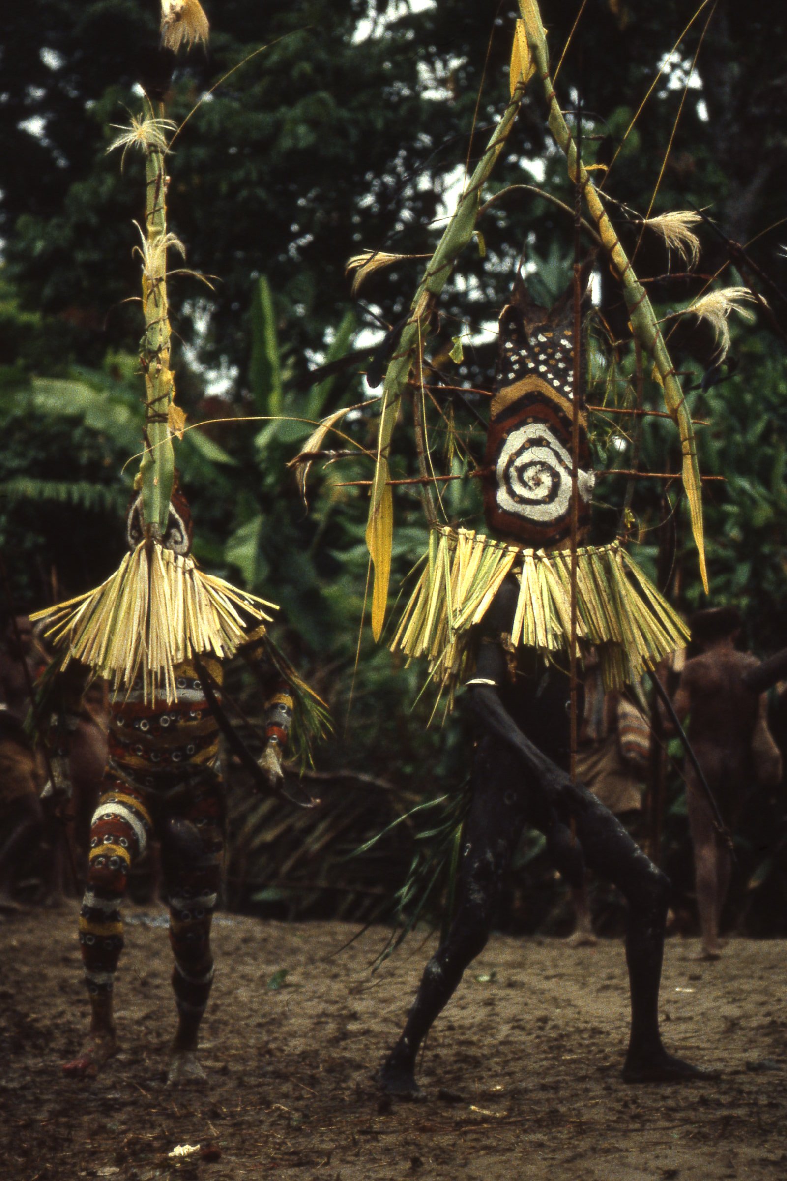 Waina men in ritual attire, Aida ritual, Umeda, 1982 (Photo M. MacKenzie).