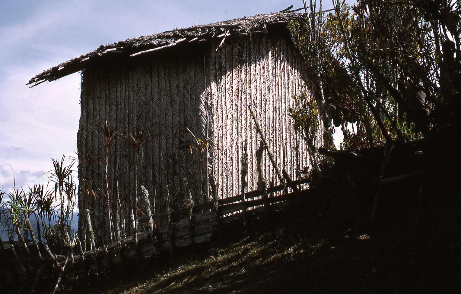 Telefol-Ubtemtigin-1972-BK2-13